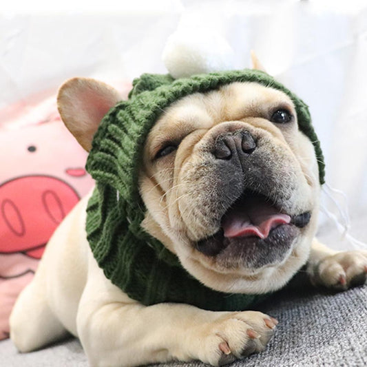 Dog Knitted Snood Hat for French Bulldogs - Frenchiely