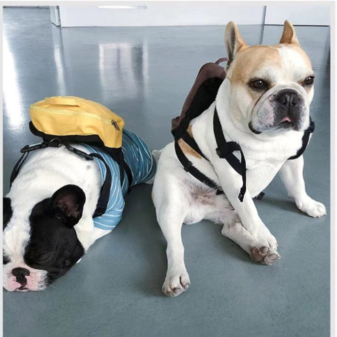 Dog Cartoon Mesh Self Backpack Carrier - Frenchiely