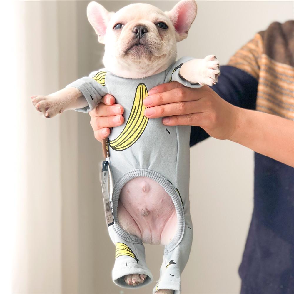 French Bulldog Puppies Onesie Pajamas - Frenchiely