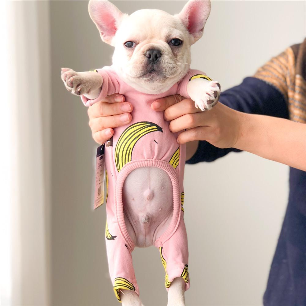 French Bulldog Puppies Onesie Pajamas - Frenchiely