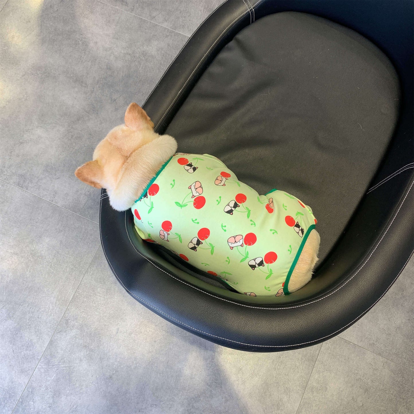 Dog Christmas Clothes Pajamas - Frenchiely