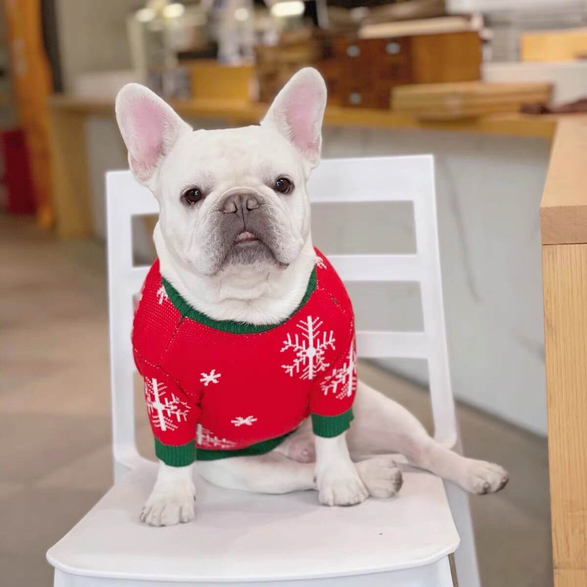 Dog Christmas Reindeer Pullover Sweater for French Bulldogs by Frenchiely