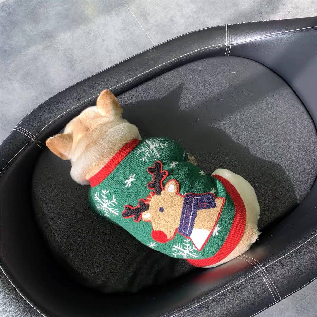 Dog Christmas Reindeer Pullover Sweater for French Bulldogs by Frenchiely