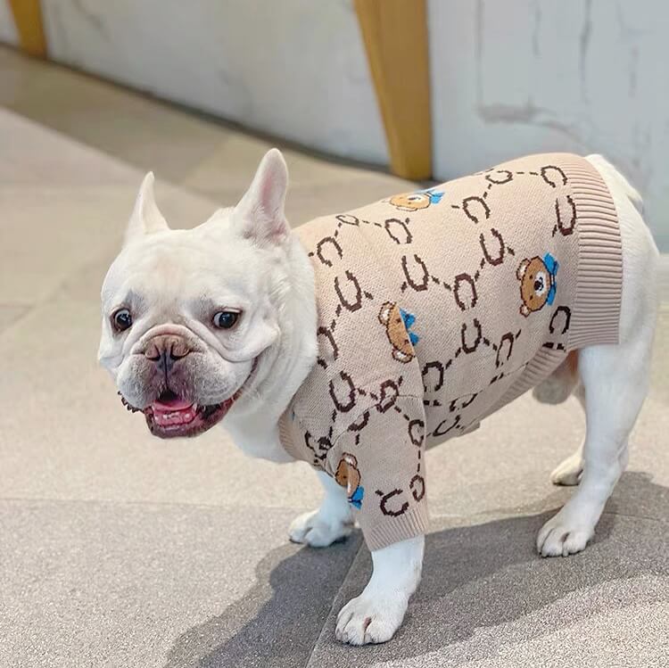 Dog bear cardigan sweater for medium dogs by Frenchiely