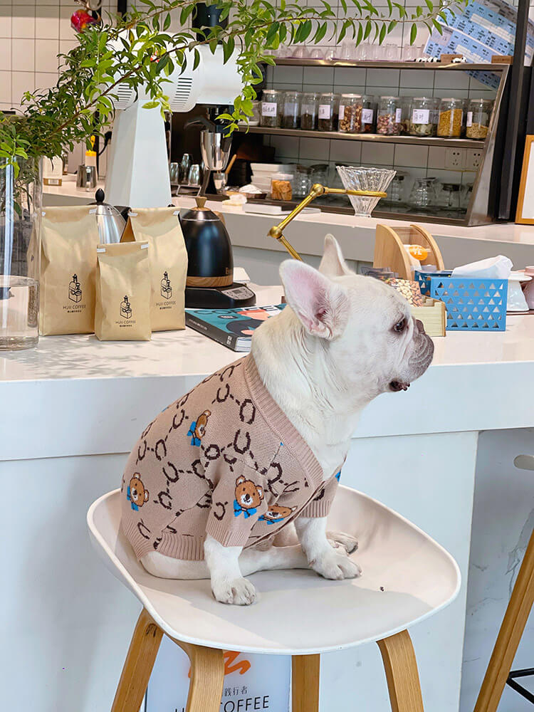 Dog bear cardigan sweater for medium dogs by Frenchiely