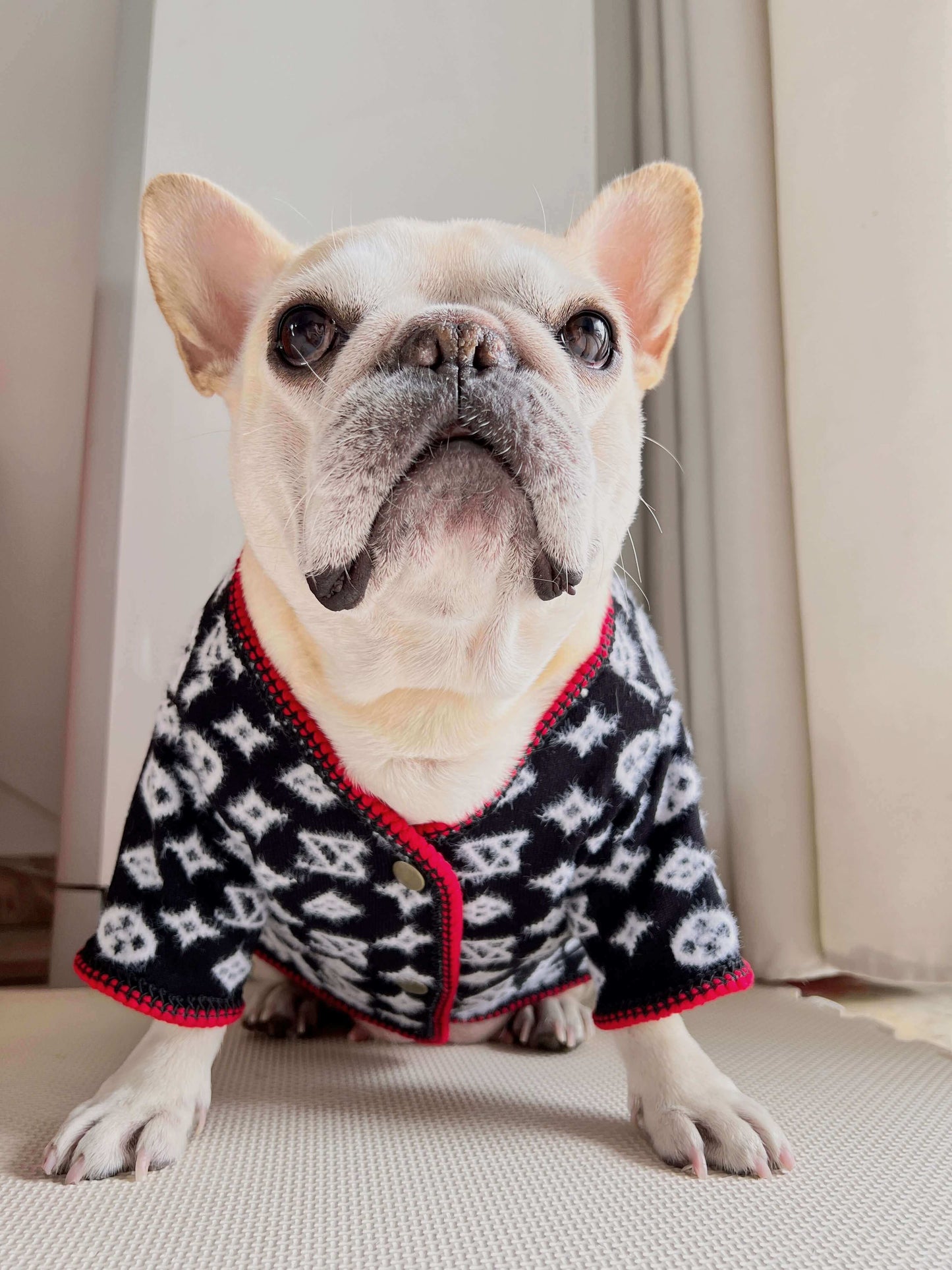 stylish dog cardigan for small medium dogs