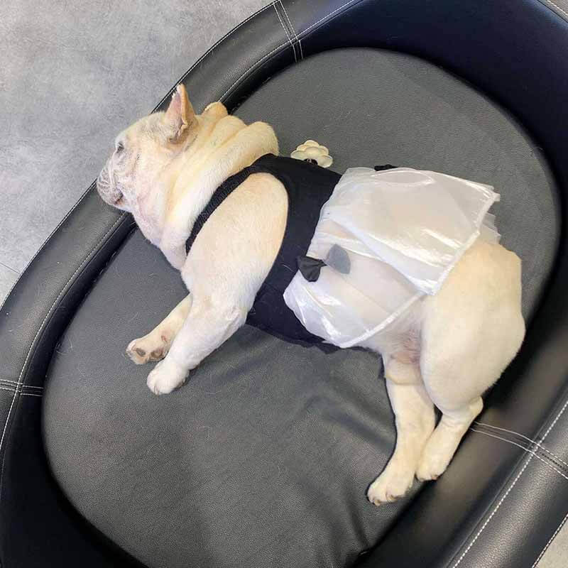 Black Dress with Flower Pin FOR FRENCH BULLDOGS BY FRENCHIELY