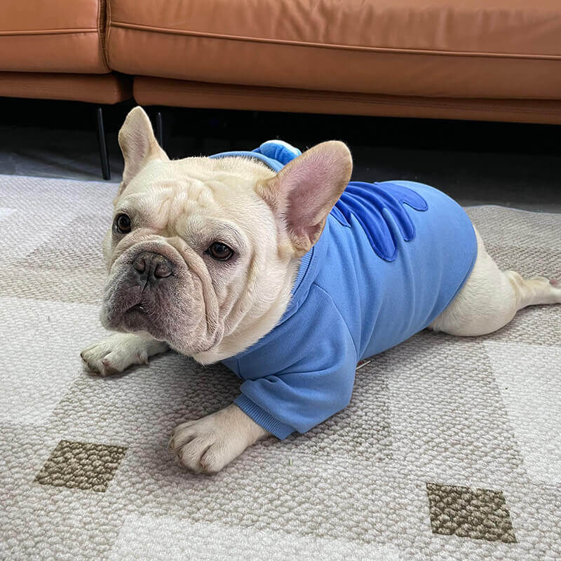 french bulldog winter clothes