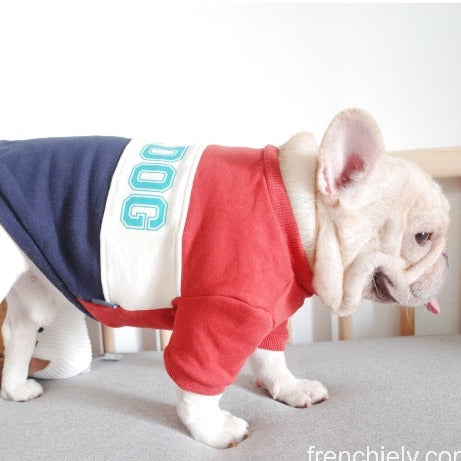 Bulldog Sweatshirt for Small medium dogs by Frenchiely.com