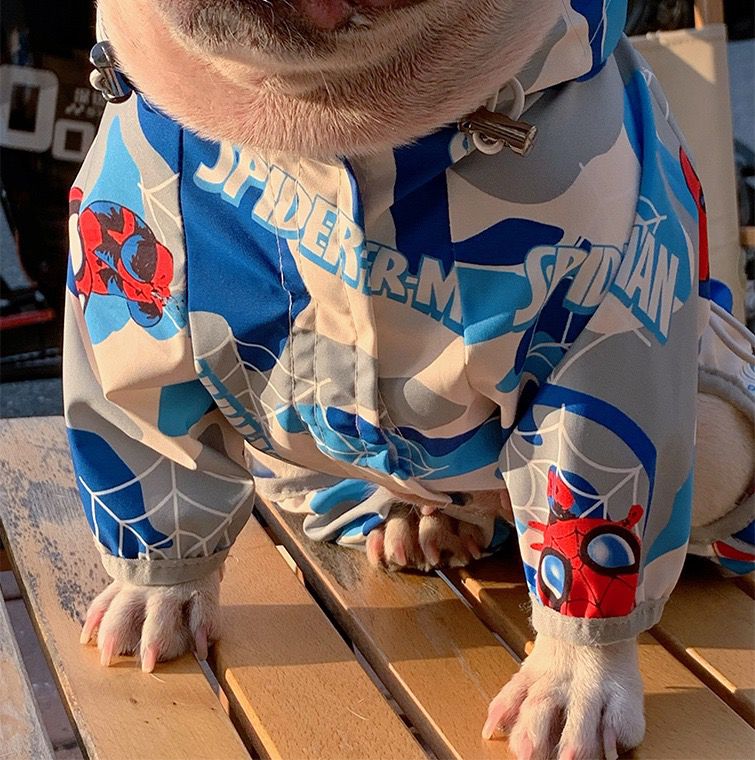 frenchiely dog camo rain jacket
