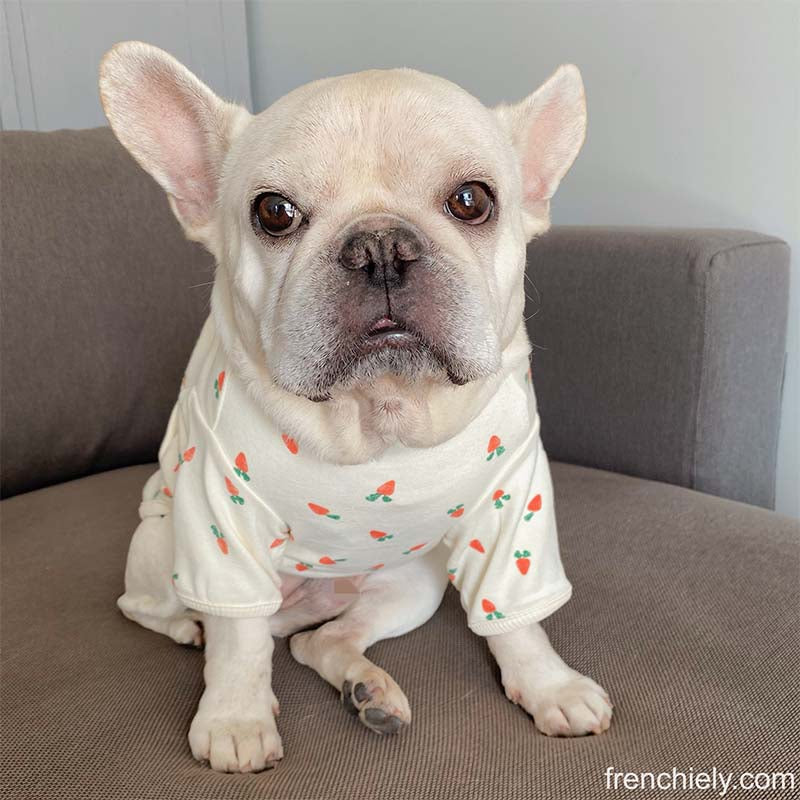 dog cotton carrot shirt for small medium dogs by Frenchiely