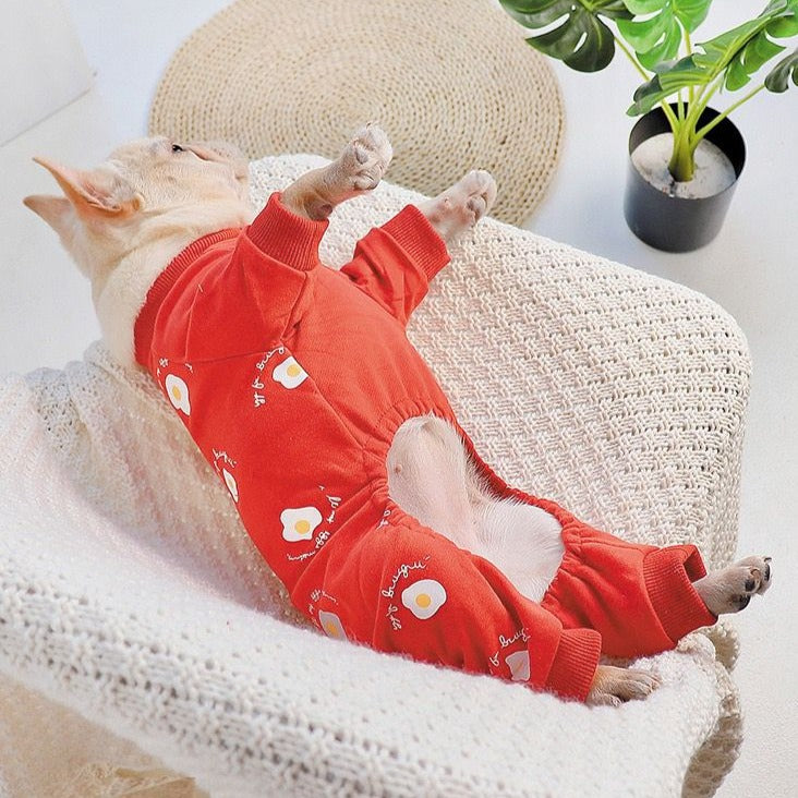 french bulldog winter pajamas