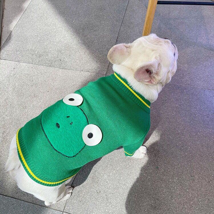Dog Cartoon Frog Pullover Sweater for Small Medium Dogs FRENCHIELY 2021 DOG FASHION