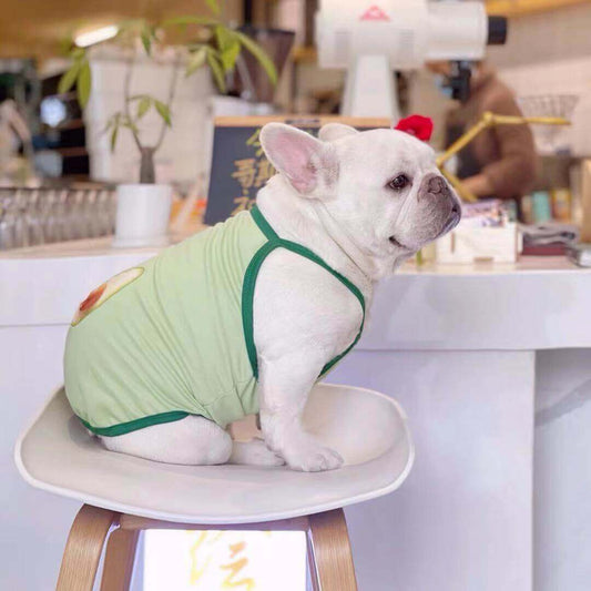 Dog Summer Mesh Avocado Shirts by Frenchiely