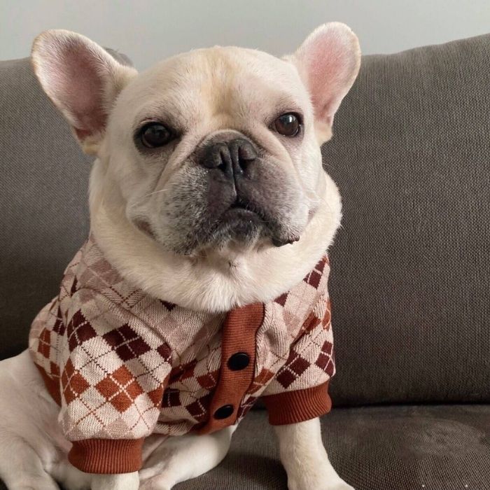 Dog Classic Stretchy Cardigan for Medium Large Dogs by Frenchiely