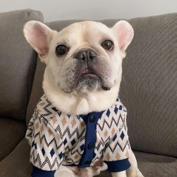 Dog Classic Stretchy Cardigan for Medium Large Dogs by Frenchiely