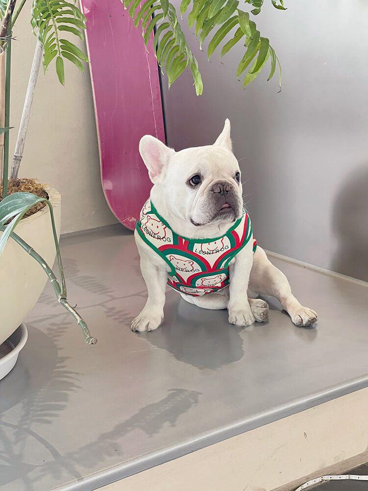 Dog Green Bear Shirt for small medium dogs