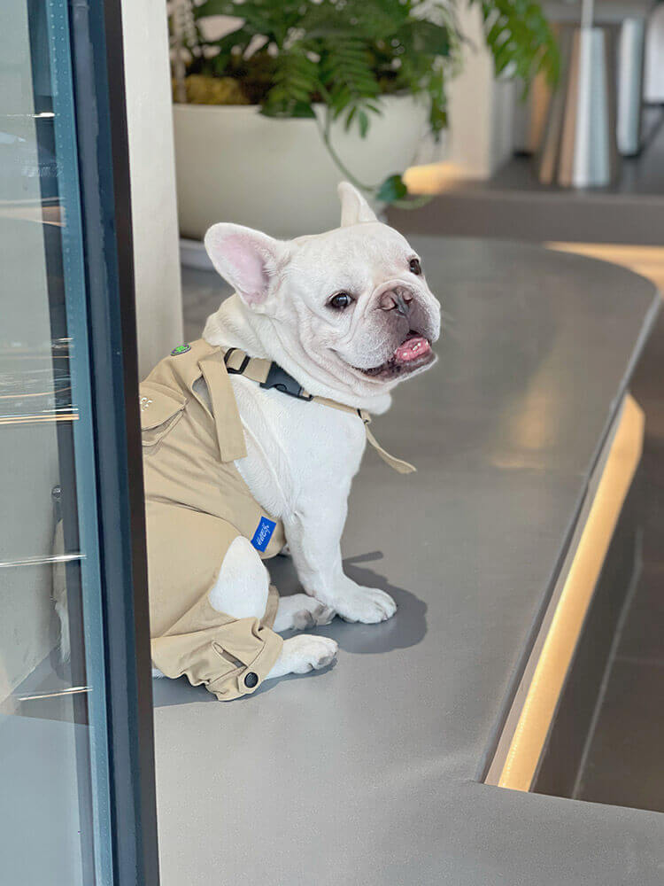 Dog Khaki Overalls with Pocket by Frrenchiely