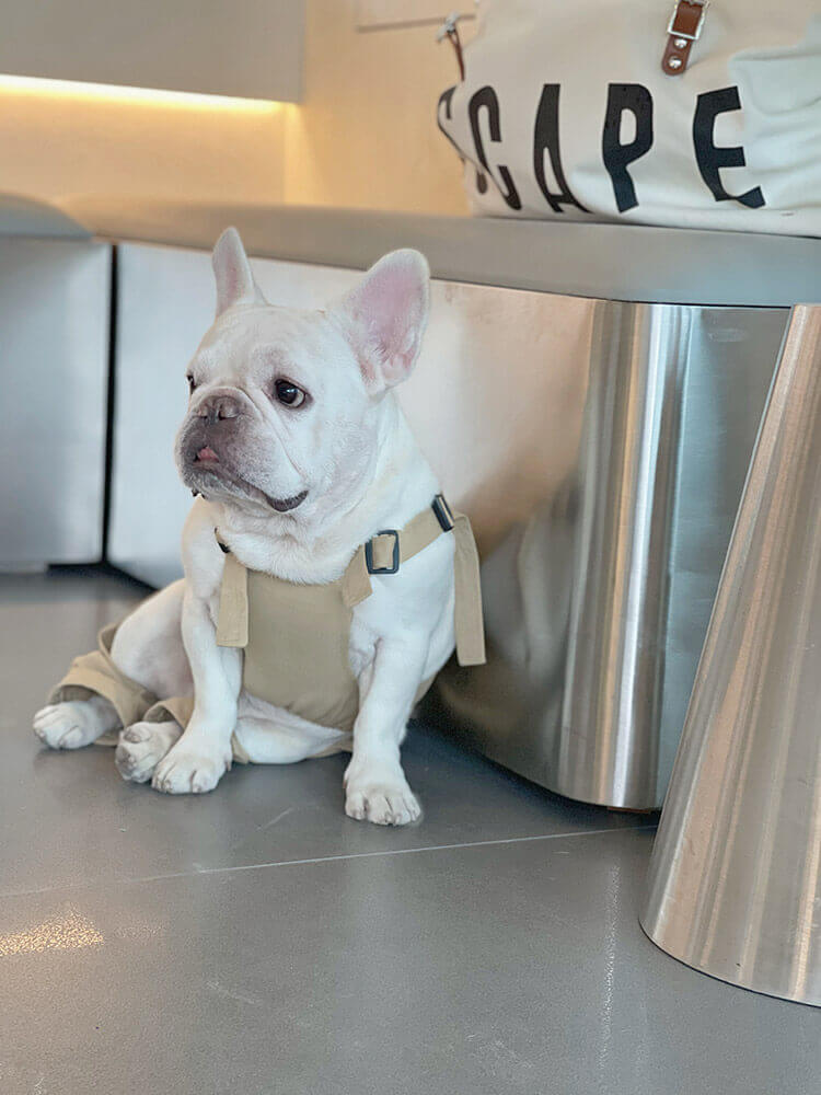 Dog Khaki Overalls with Pocket for french bulldogs