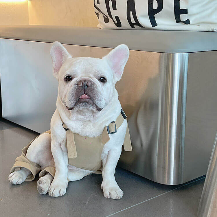 Dog khaki overalls with pocket for small medium dogs
