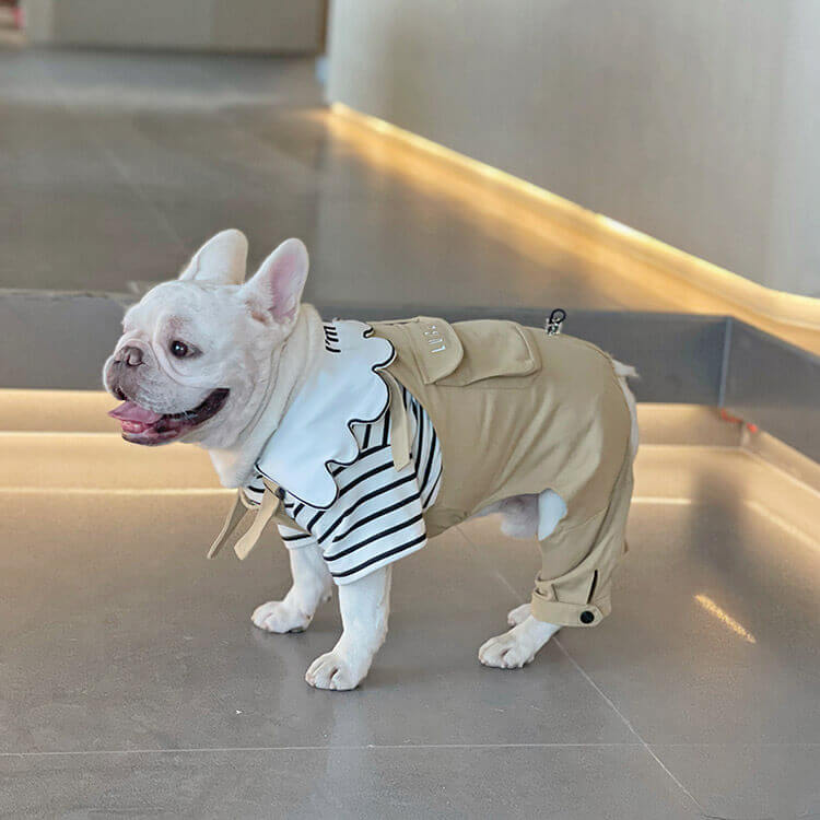 dog winter overalls jumpsuit for medium dogs