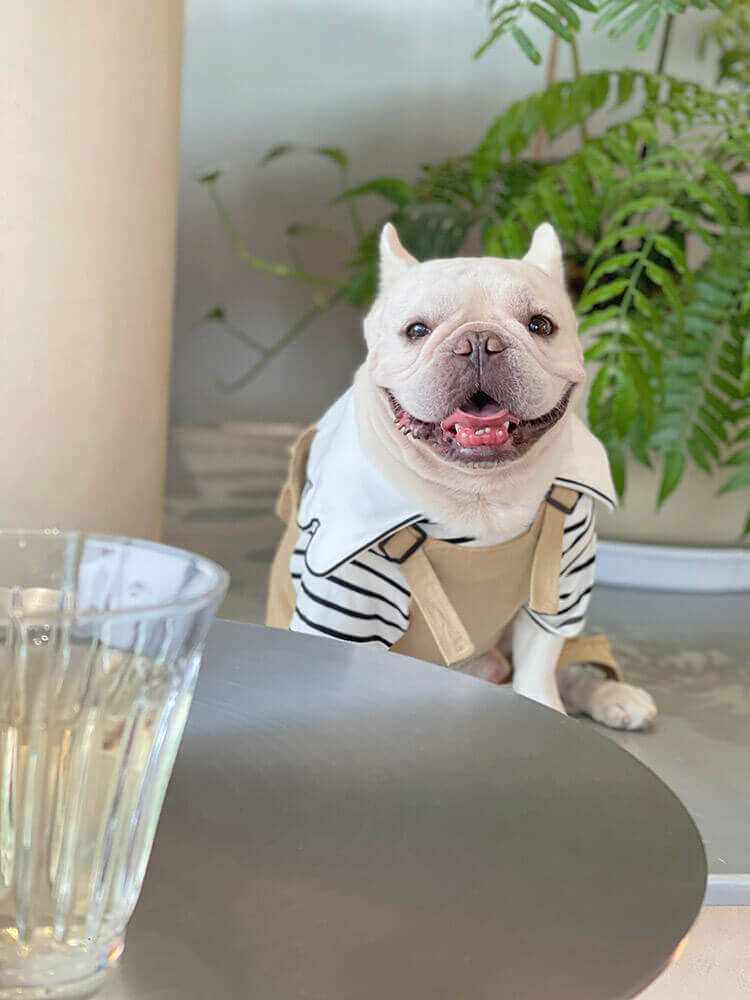 Dog Khaki Overalls with Pocket