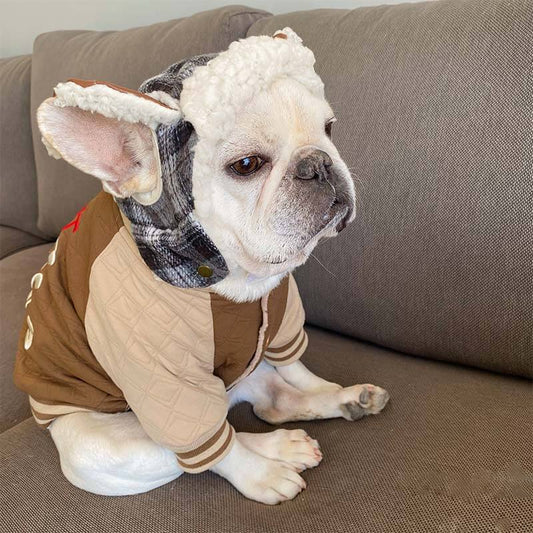 dog Khaki jacket coat for small medium dogs by Frenchiely