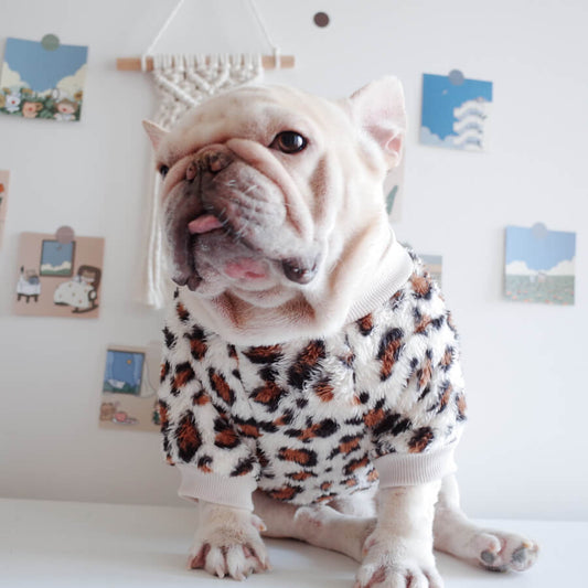 dog leopard pullover sweatshirt for medium dogs by Frenchiely