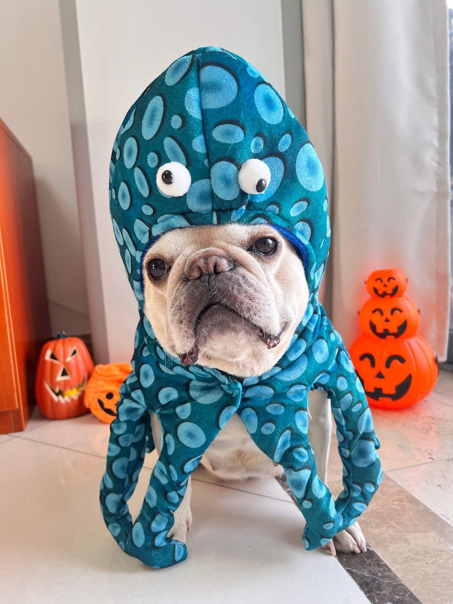 small dog halloween costumes