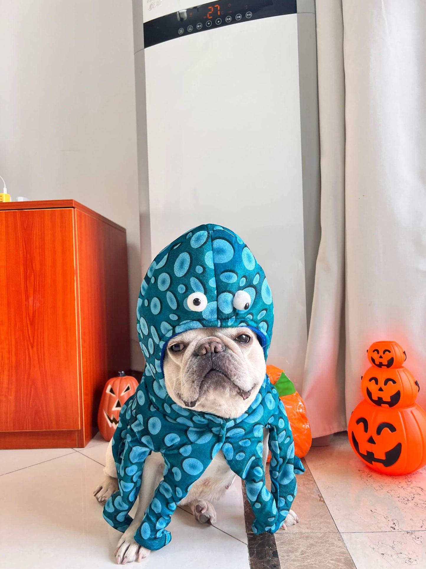 dog fish costume for small medium dogs