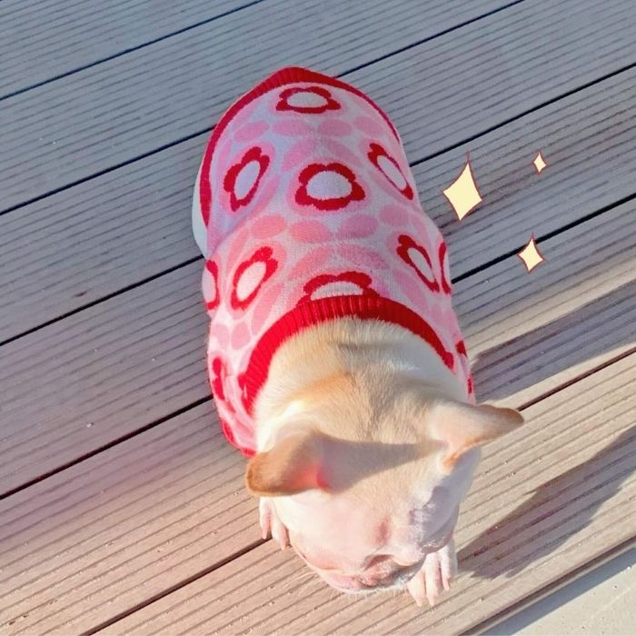 Red Floral Jumper dogpinkheartpulloversweaterforfrenchbulldogsbyFrenchiely02_1