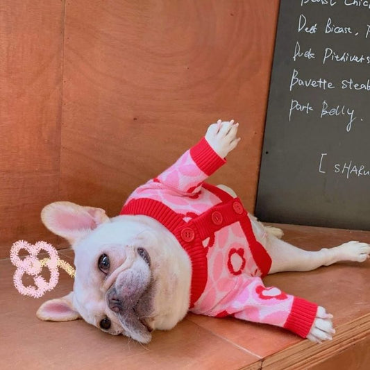 Dog Stylish Red Floral Pullover Sweater by Frenchiely