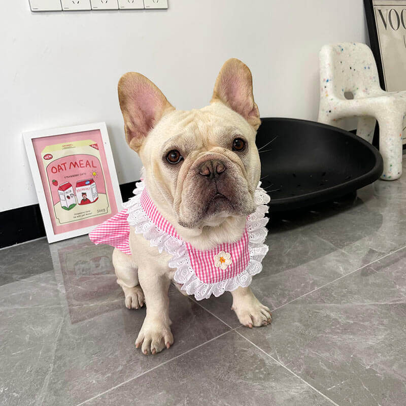 Dog Plaid Dress with Bandana for French bulldogs by Frenchiely