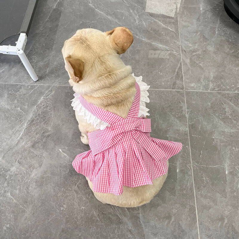 Dog Plaid Dress with Bandana for French bulldogs by Frenchiely