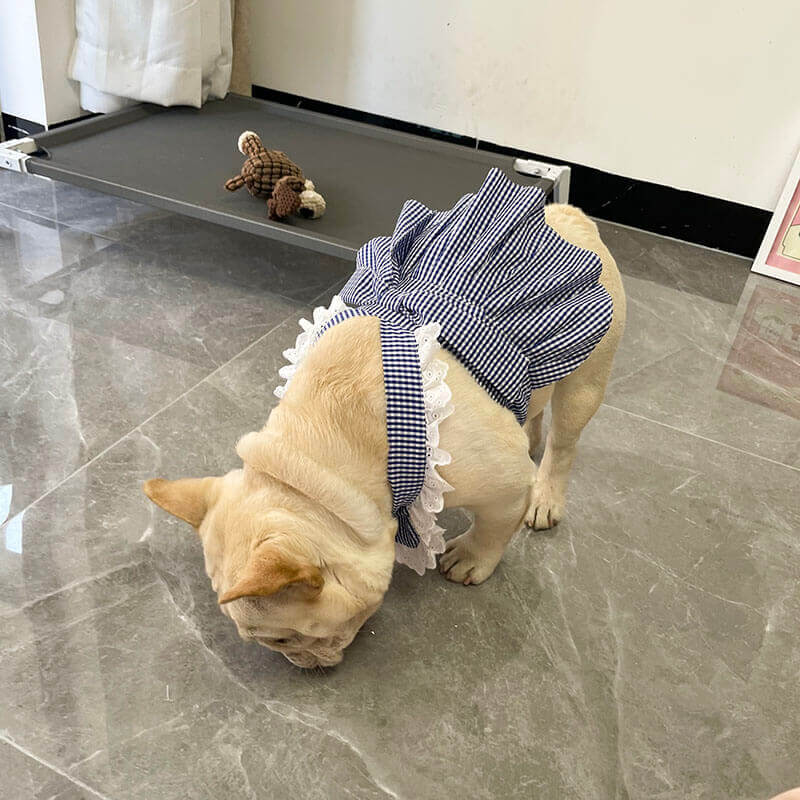 Dog Plaid Dress with Bandana for French bulldogs by Frenchiely