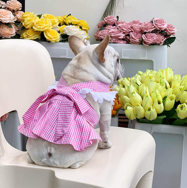 Dog Plaid Dress with Bandana for French bulldogs by Frenchiely