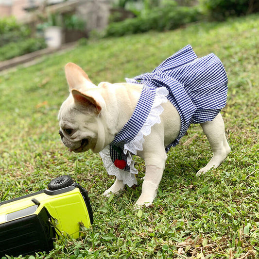 Dog Plaid Dress with Bandana for French bulldogs by Frenchiely