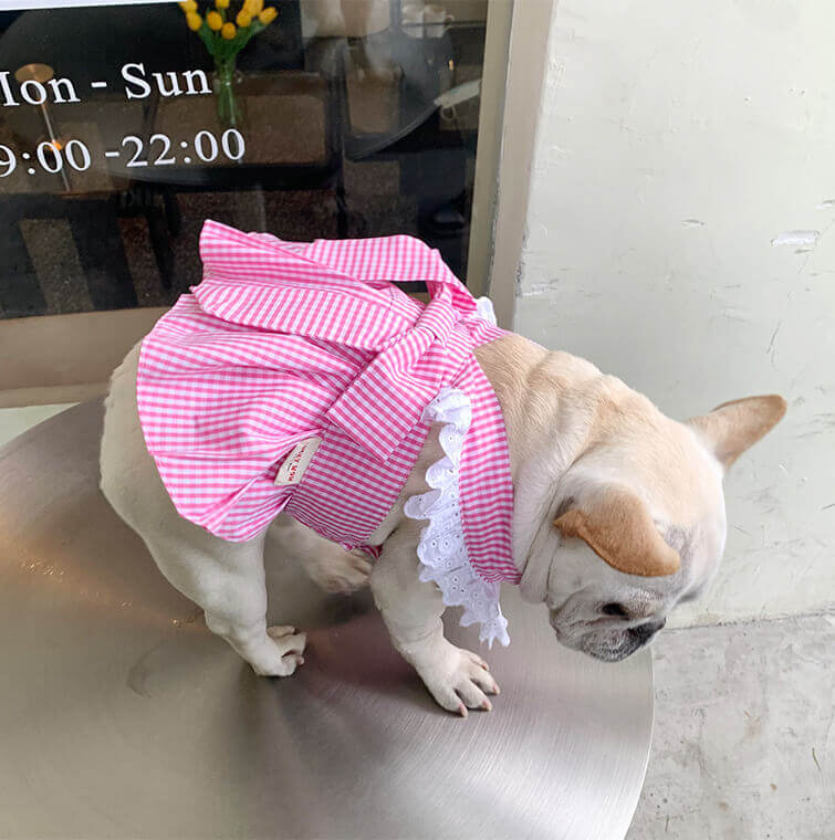 Dog Plaid Dress with Bandana for French bulldogs by Frenchiely