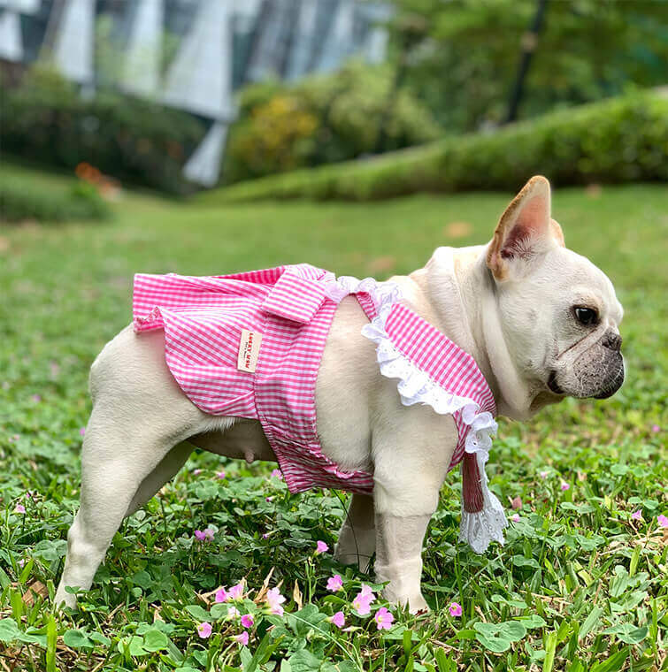 Dog Plaid Dress with Bandana for French bulldogs by Frenchiely