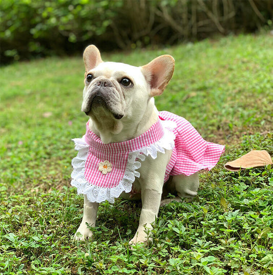 Dog Plaid Dress with Bandana for French bulldogs by Frenchiely