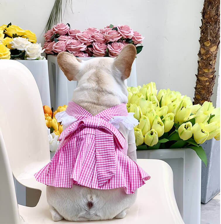 Dog Plaid Dress with Bandana for French bulldogs by Frenchiely
