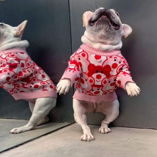 Frenchiely dog pink red sweater with bear logos