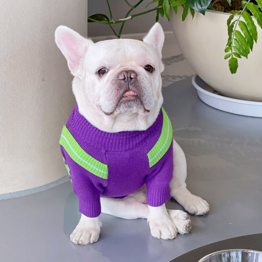 Dog Purple Turtle Neck Sweater dogpurplegreenturtlenecksweaterforsmallmediumdogs2
