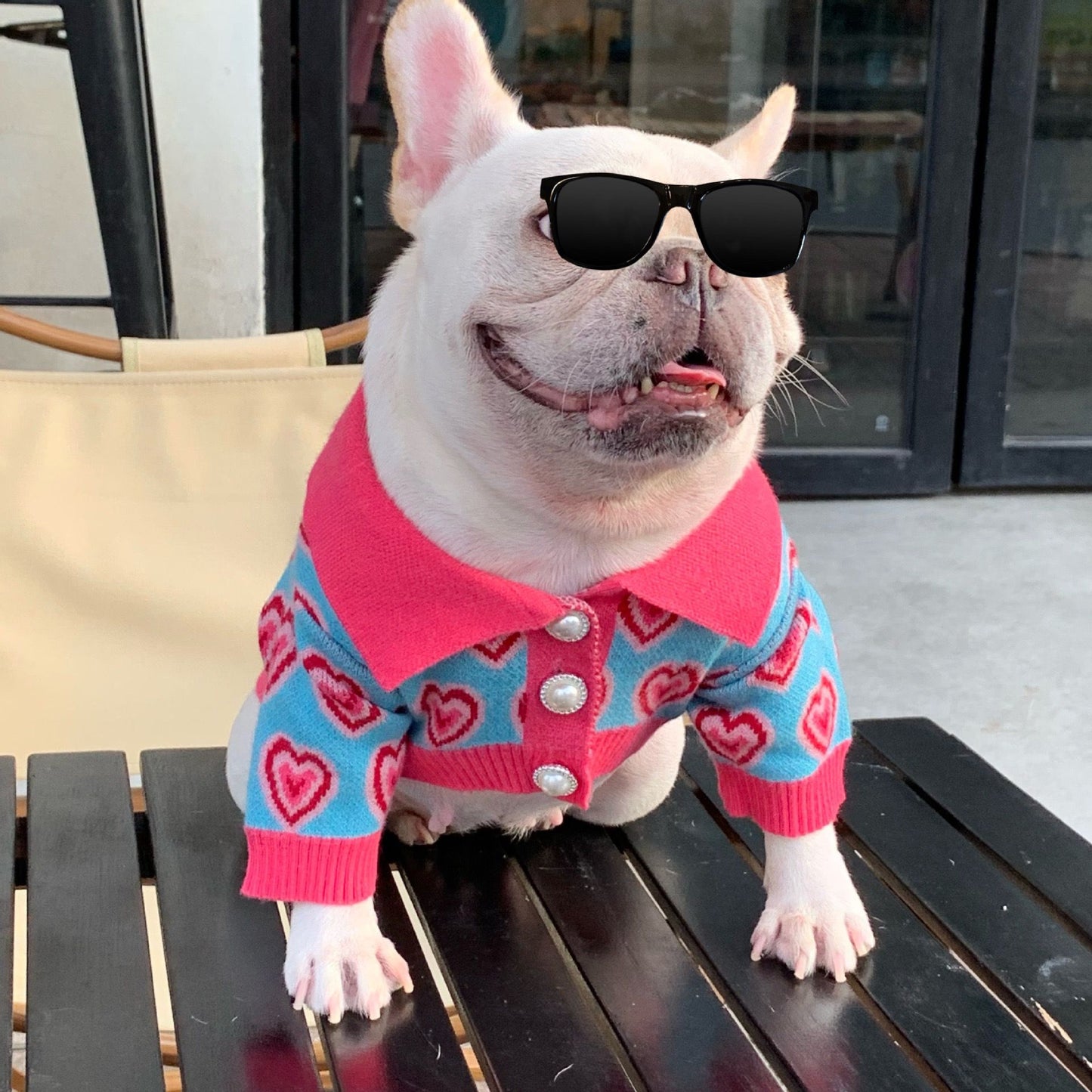 dog sweater brands for medium dogs