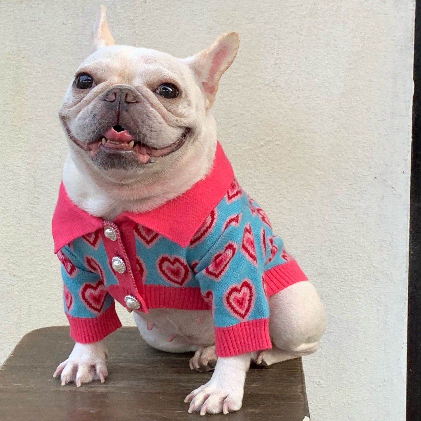 dog sweater christmas