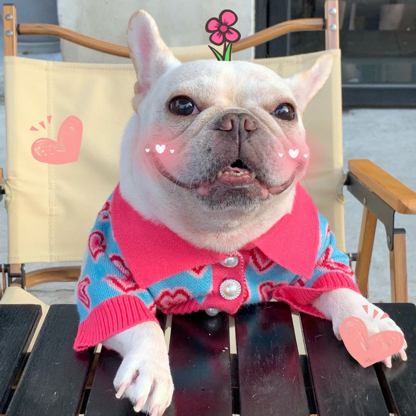 custom dog sweater