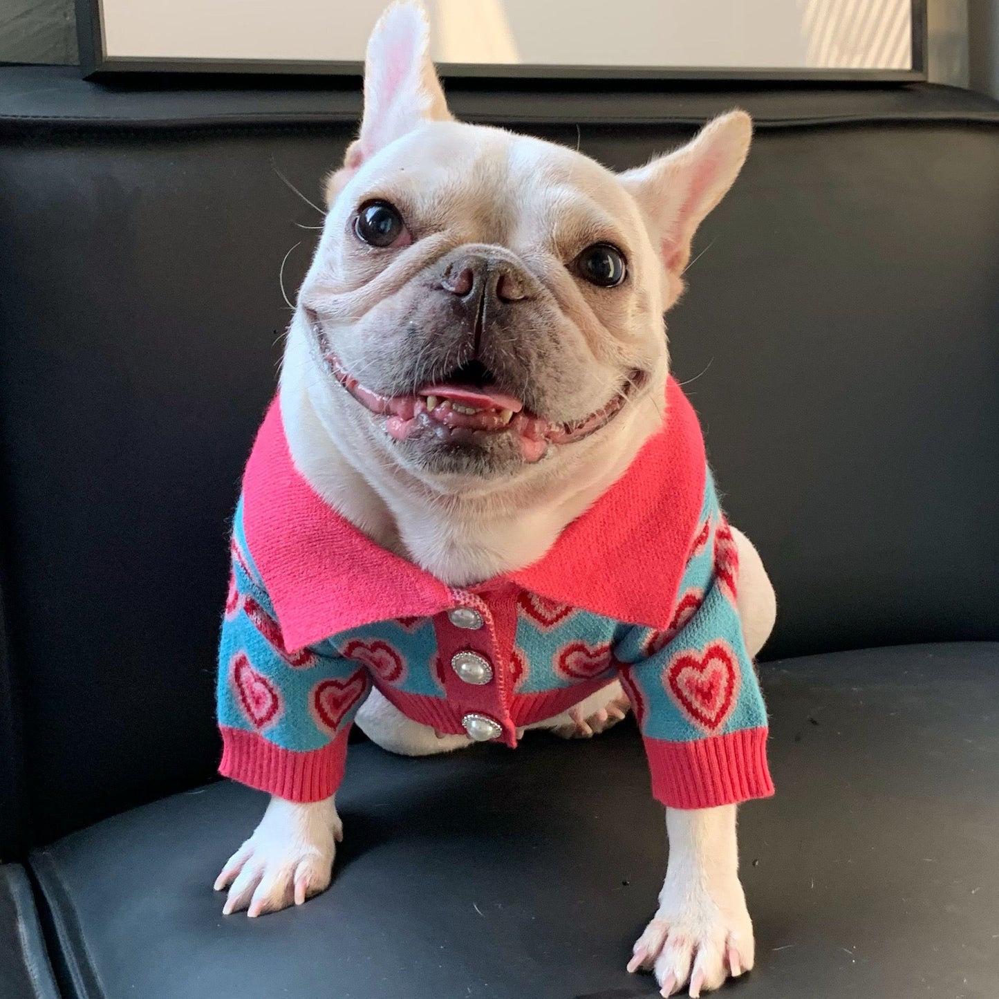 christmas dog sweater