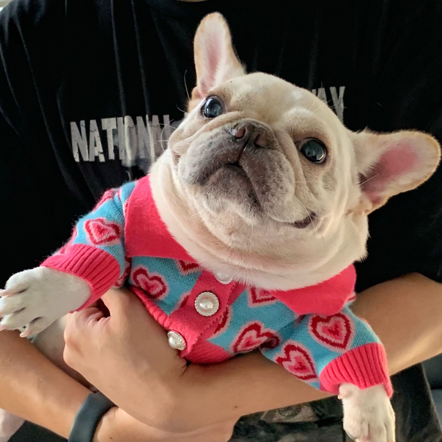 dog sweater dress