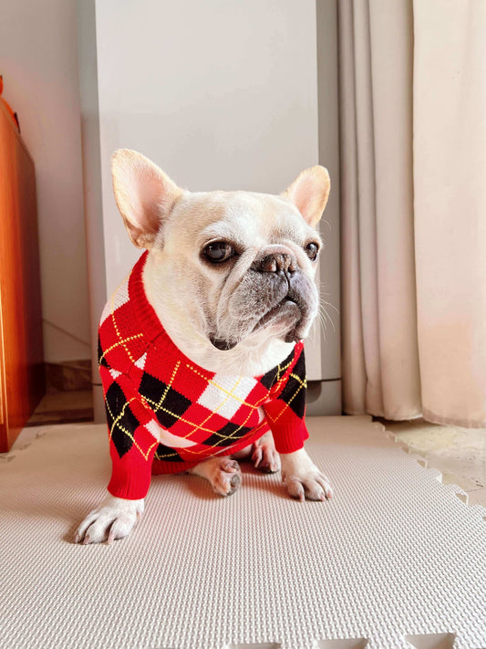Dog Black & Red Pullover Sweater dogredsweaterpulloverformediumfrenchbulldogsbyFrenchiely_16