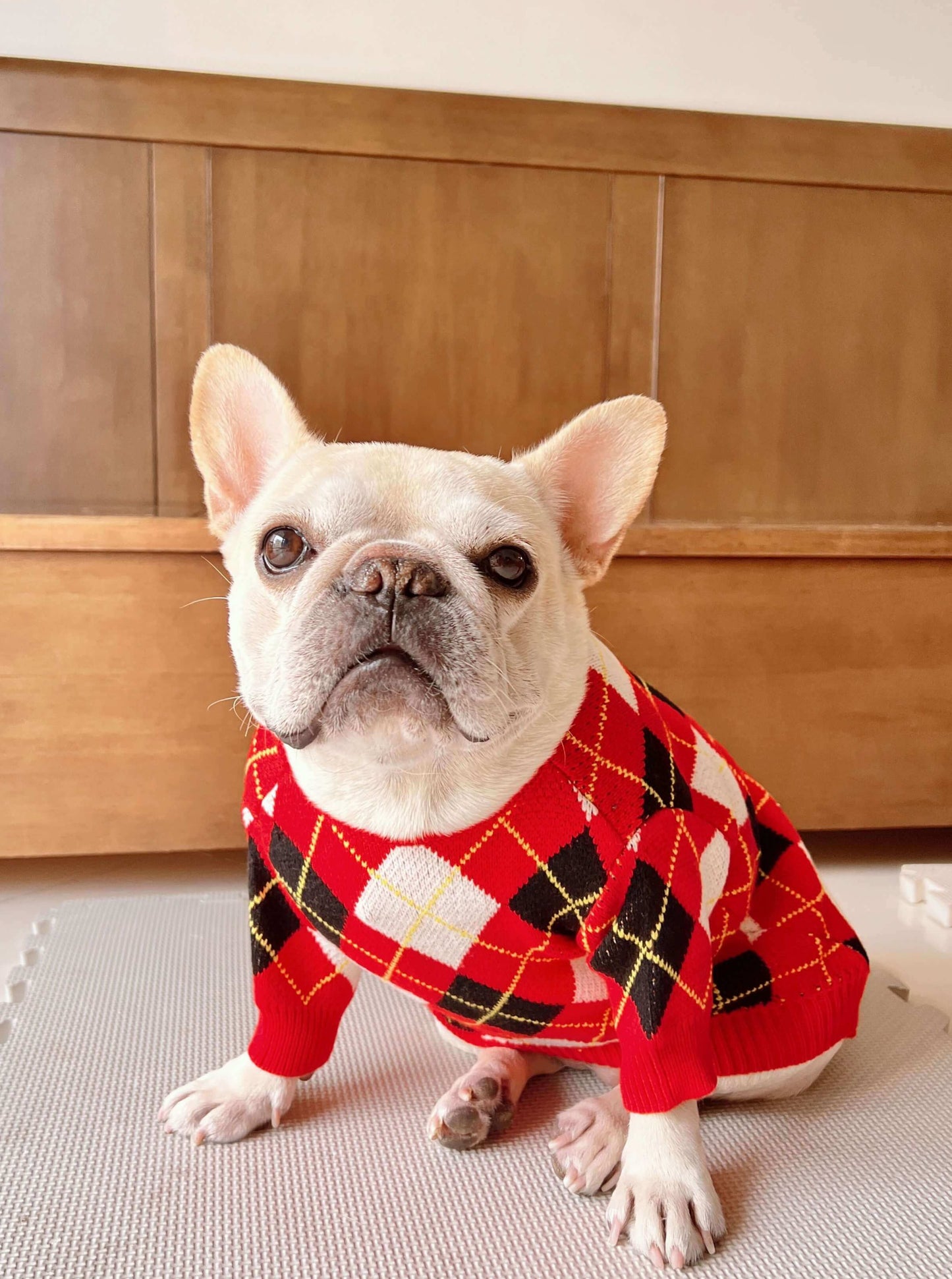 dog black and red pullover cardigans by Frenchiely